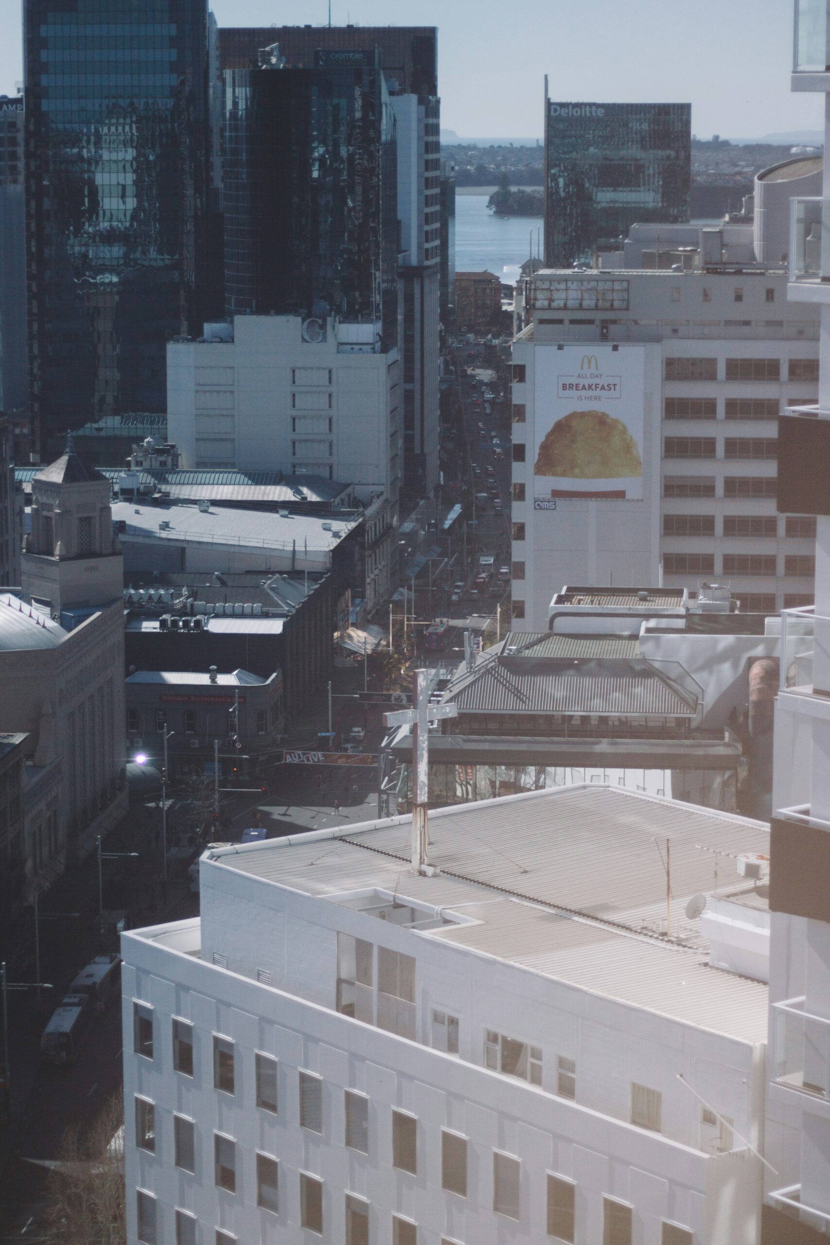 New Zealand Business